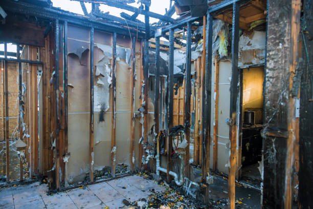 Professional Fire Damage Assessment technician working in McCall, ID